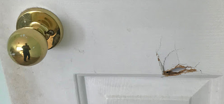 interior door hole repair Avocado Heights